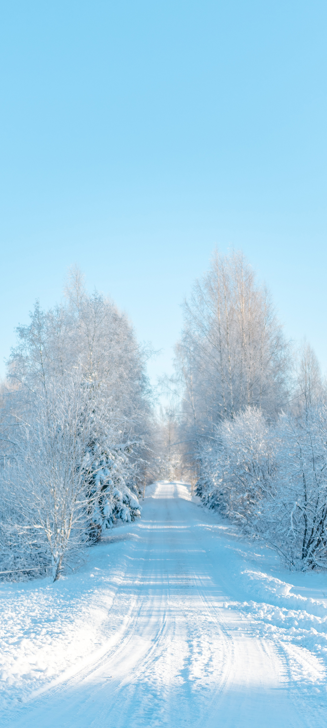 冬天风景雪地树公路风景高清手机壁纸 配图01